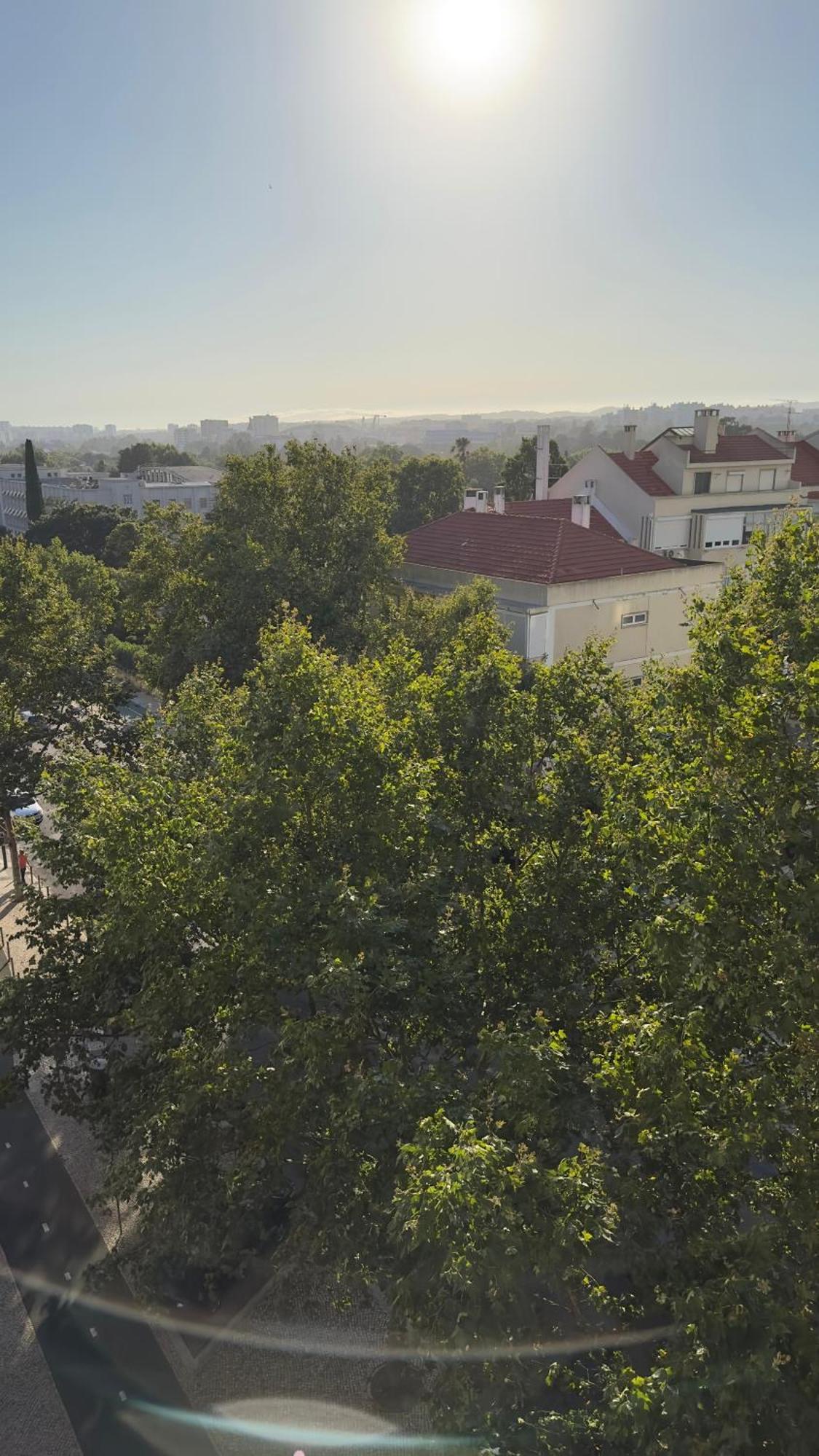 Room Alvalade Lisbon Exterior photo